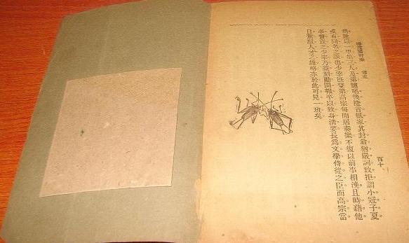 ��ϼ��Ұ��