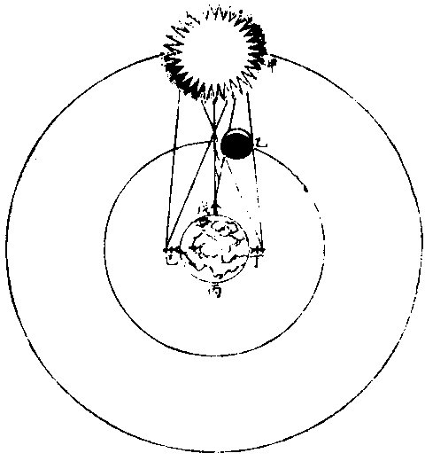 �²��������²�����ʳͼ