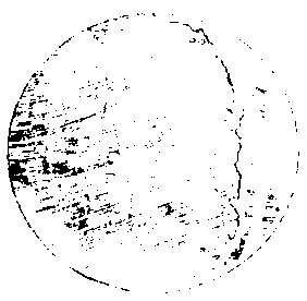 ��������ͼ