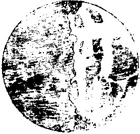 ��������ͼ