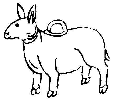 ����ͼ��