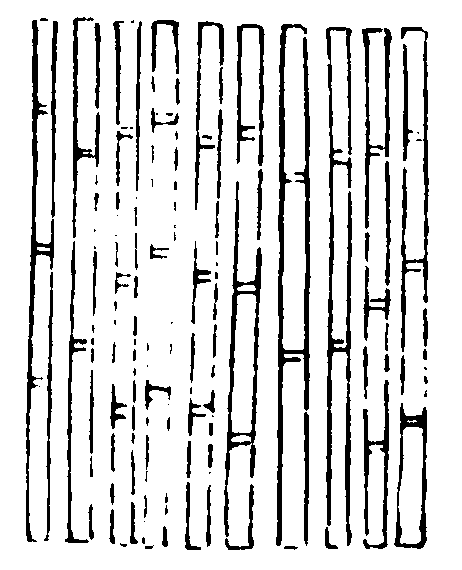 ����ͼ��