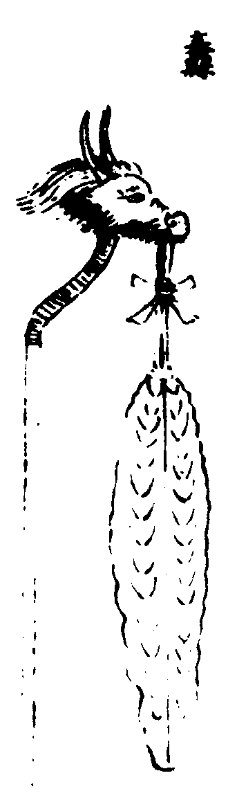 ����ͼ��