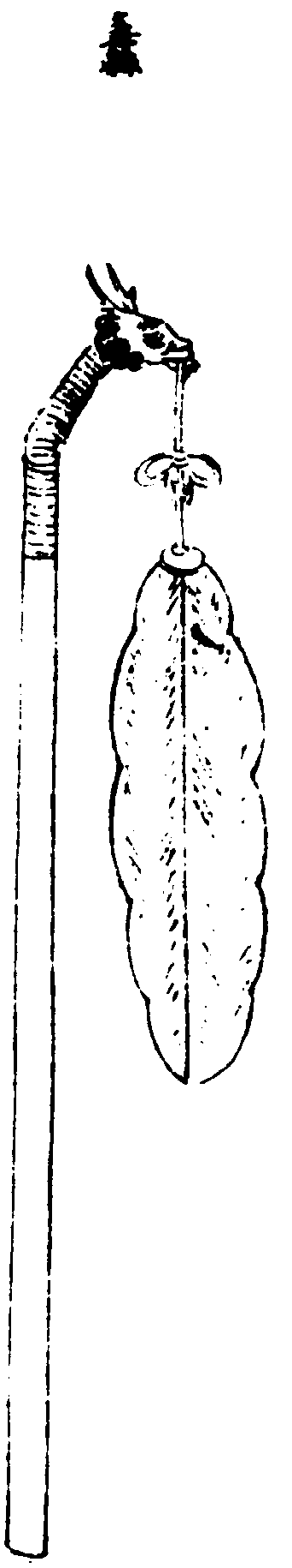 ����ͼ��