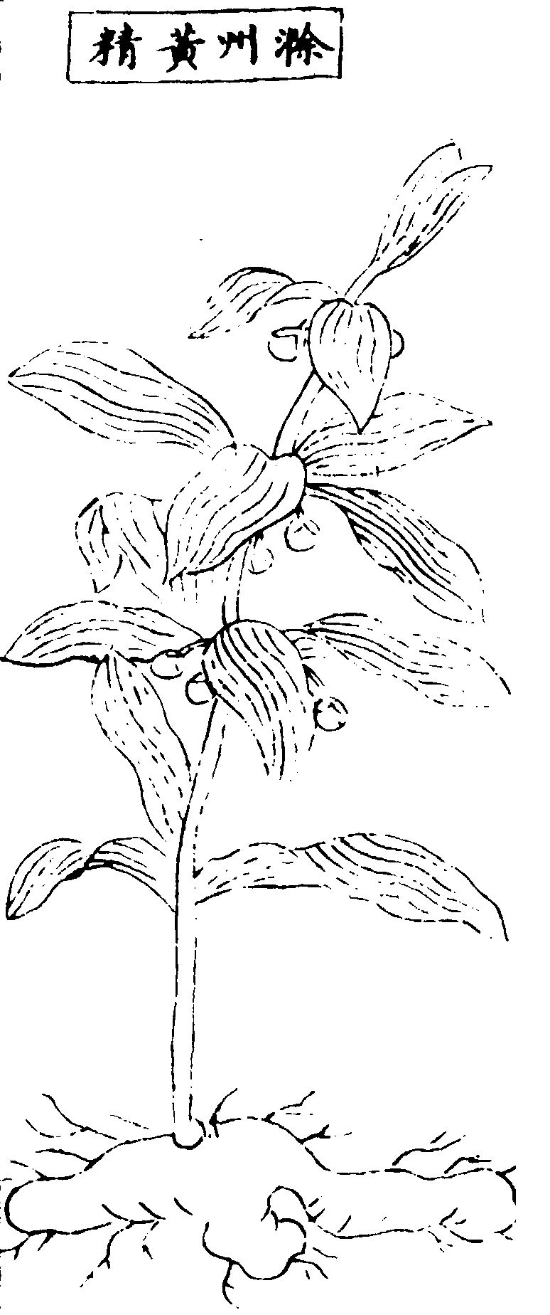 ����ͼ��