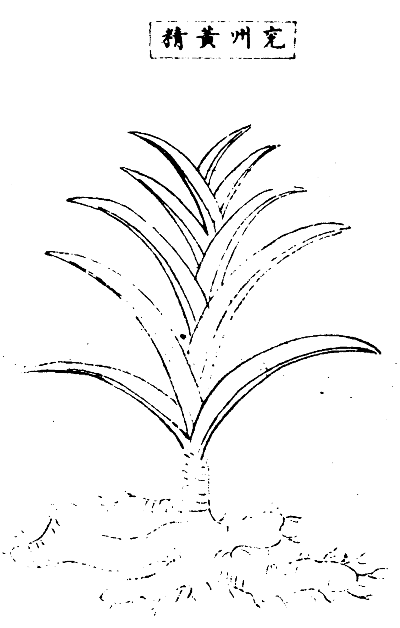 ����ͼ��