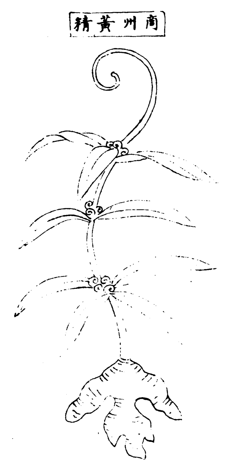 ����ͼ��