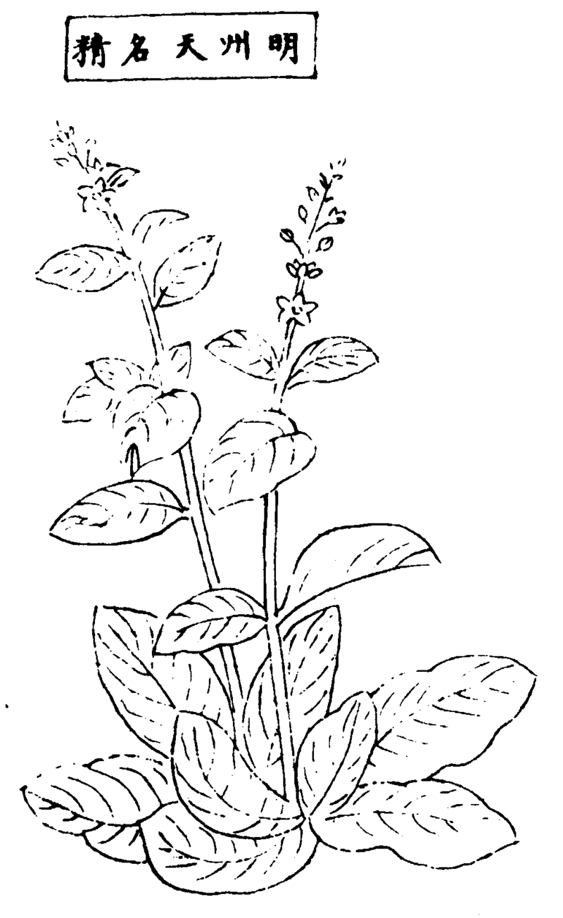 ����ͼ��