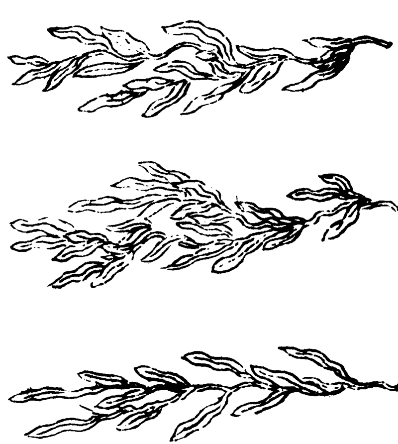 ����ͼ��