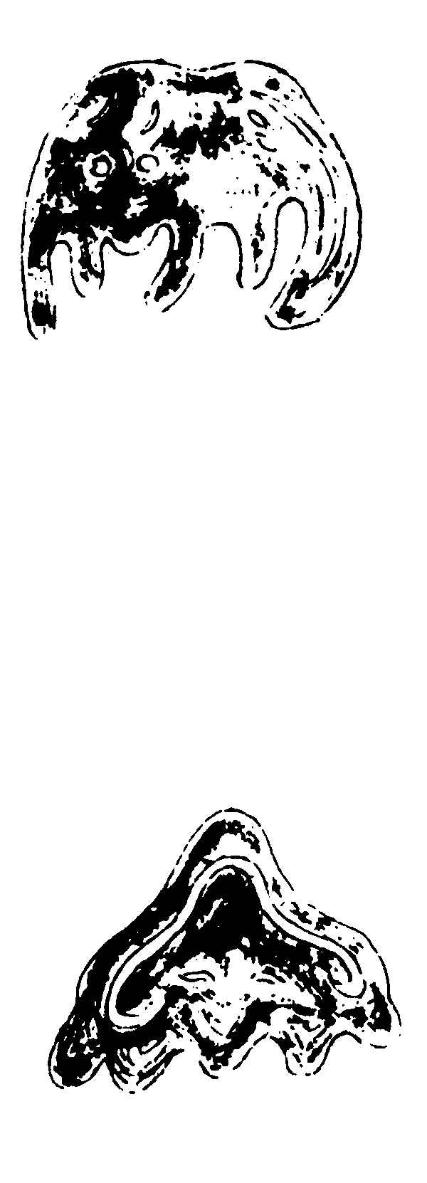 ����ͼ��