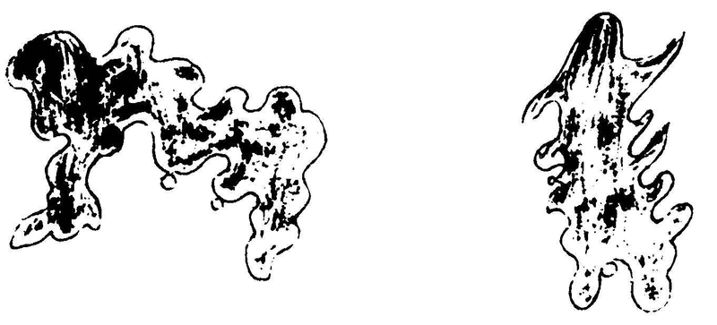 ����ͼ��