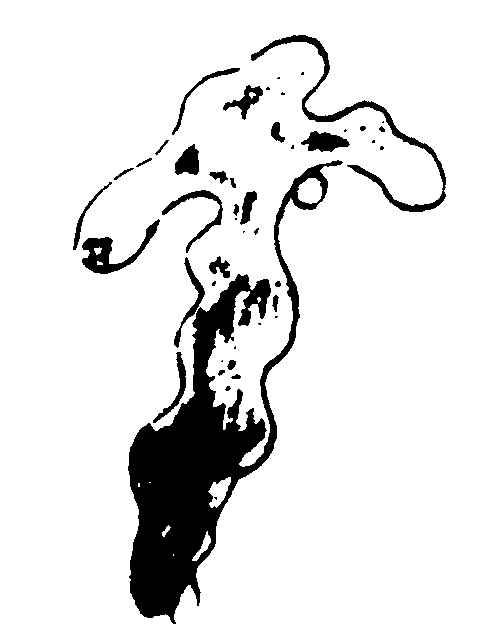 ����ͼ��