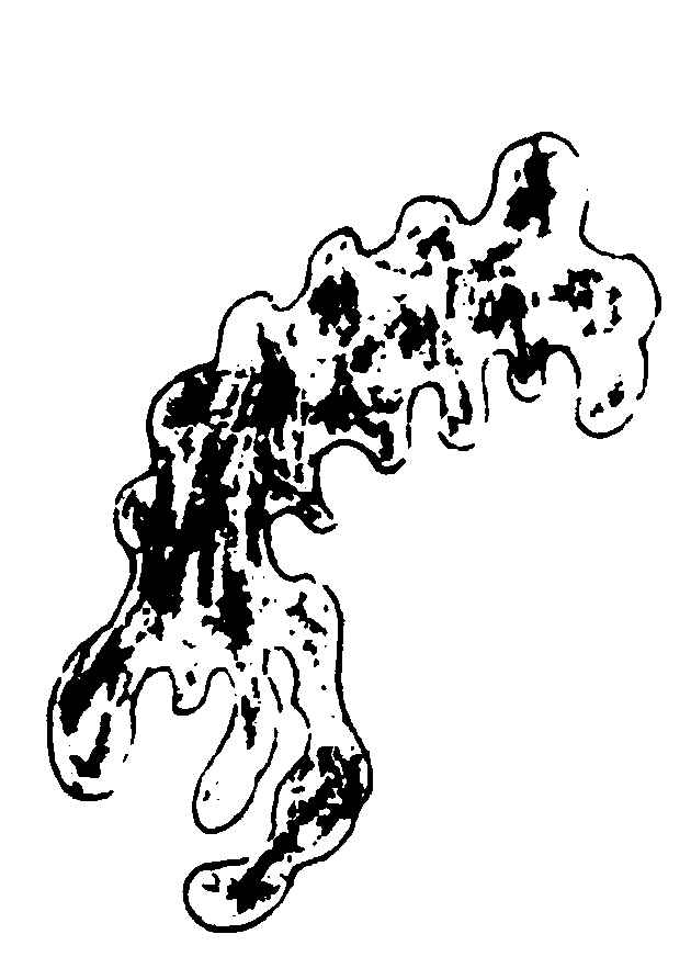 ����ͼ��