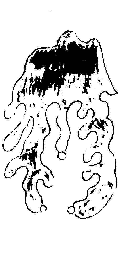 ����ͼ��