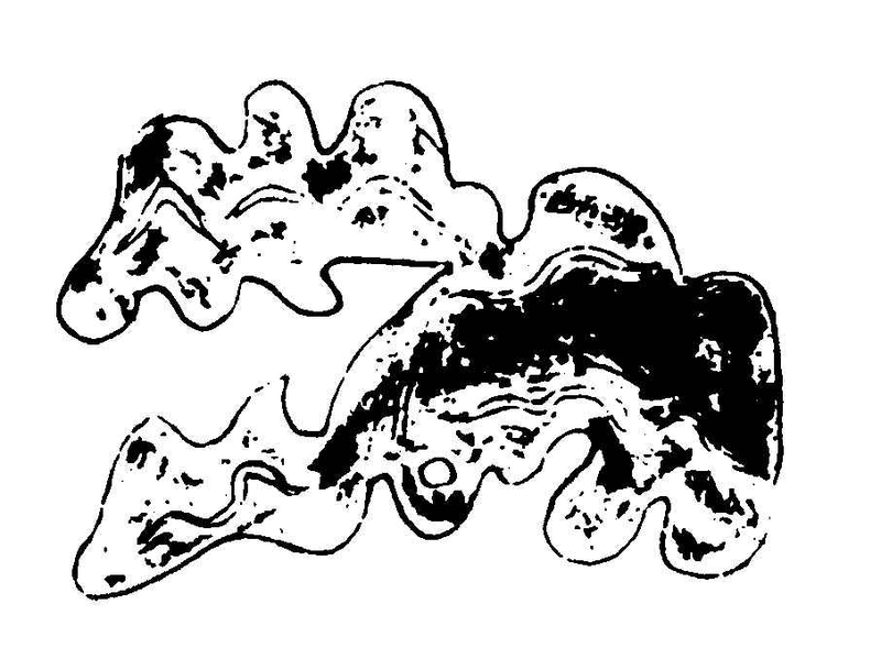 ����ͼ��