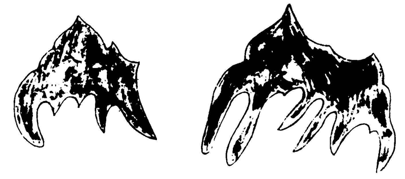 ����ͼ��