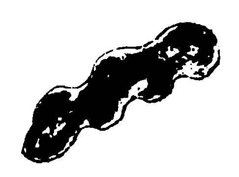 ����ͼ��