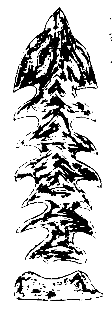 ����ͼ��