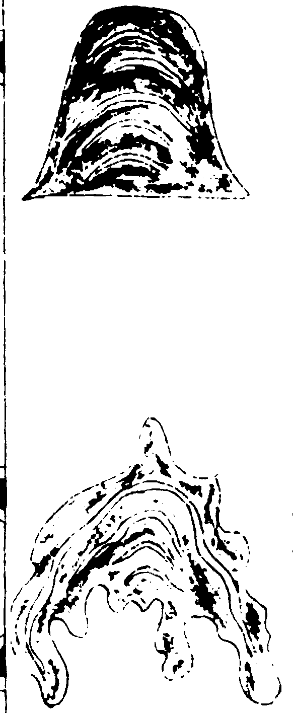 ����ͼ��