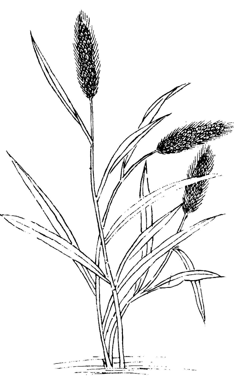 ����ͼ��