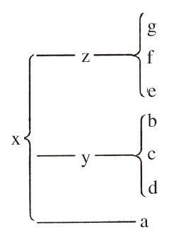 ������ѧ�ռ�