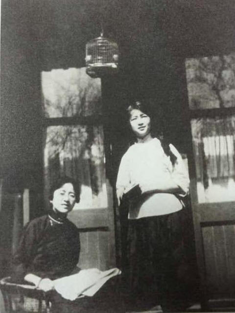 �ֻ���Ӱ��