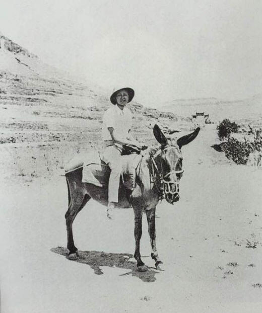 �ֻ���Ӱ��