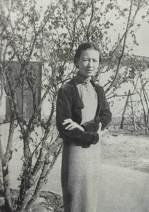 �ֻ���Ӱ��