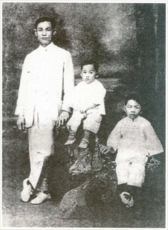 ������Ӱ��