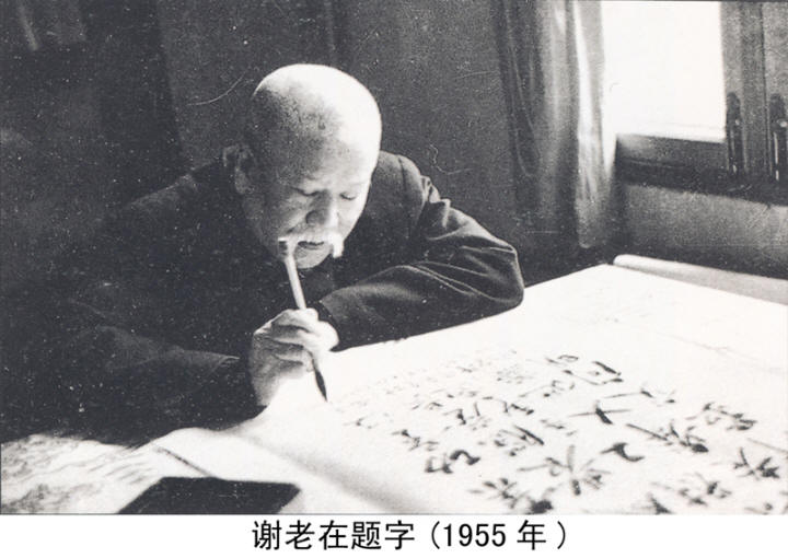 л����Ӱ�����ּ�