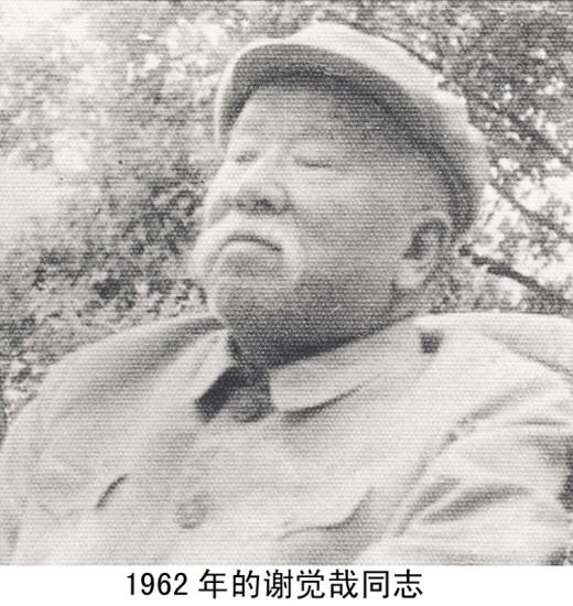 л����Ӱ�����ּ�