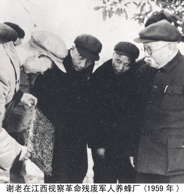 л����Ӱ�����ּ�