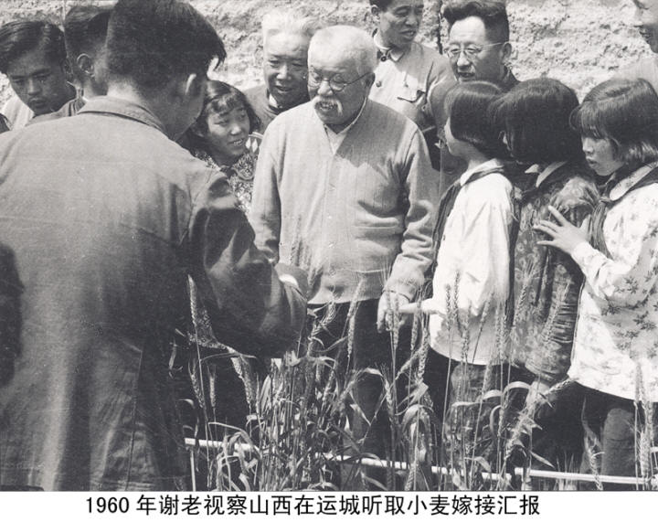 л����Ӱ�����ּ�