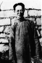 �����Ӱ��